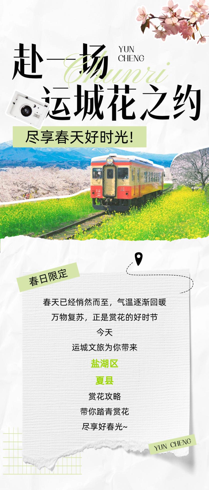 到盐湖,去夏县,寻找最美的春天!_澎湃号·政务_澎湃新闻-the paper