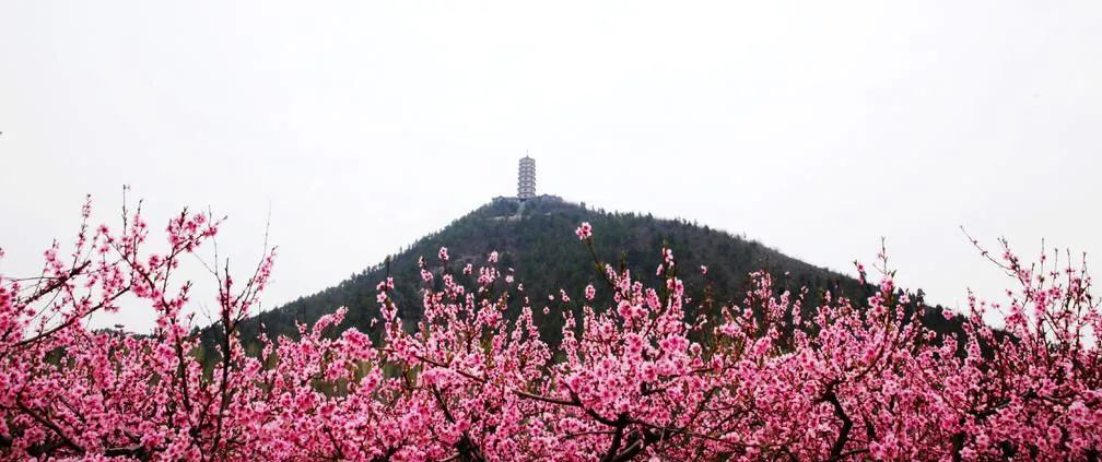 荣建猪蹄,瑶池搅团,炖土鸡,馄饨臊子面土特产推荐:祁家河柿饼,夏县