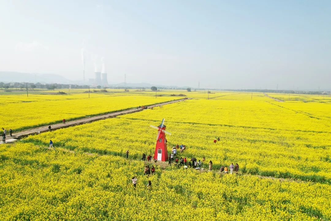 你好景德镇 | 乐平水利枢纽工程移民搬迁安置工作正在进行_澎湃号