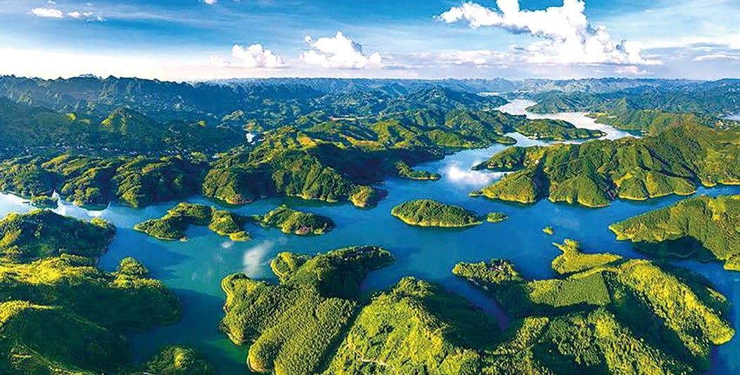 澎湃号·政务_澎湃新闻-the paper