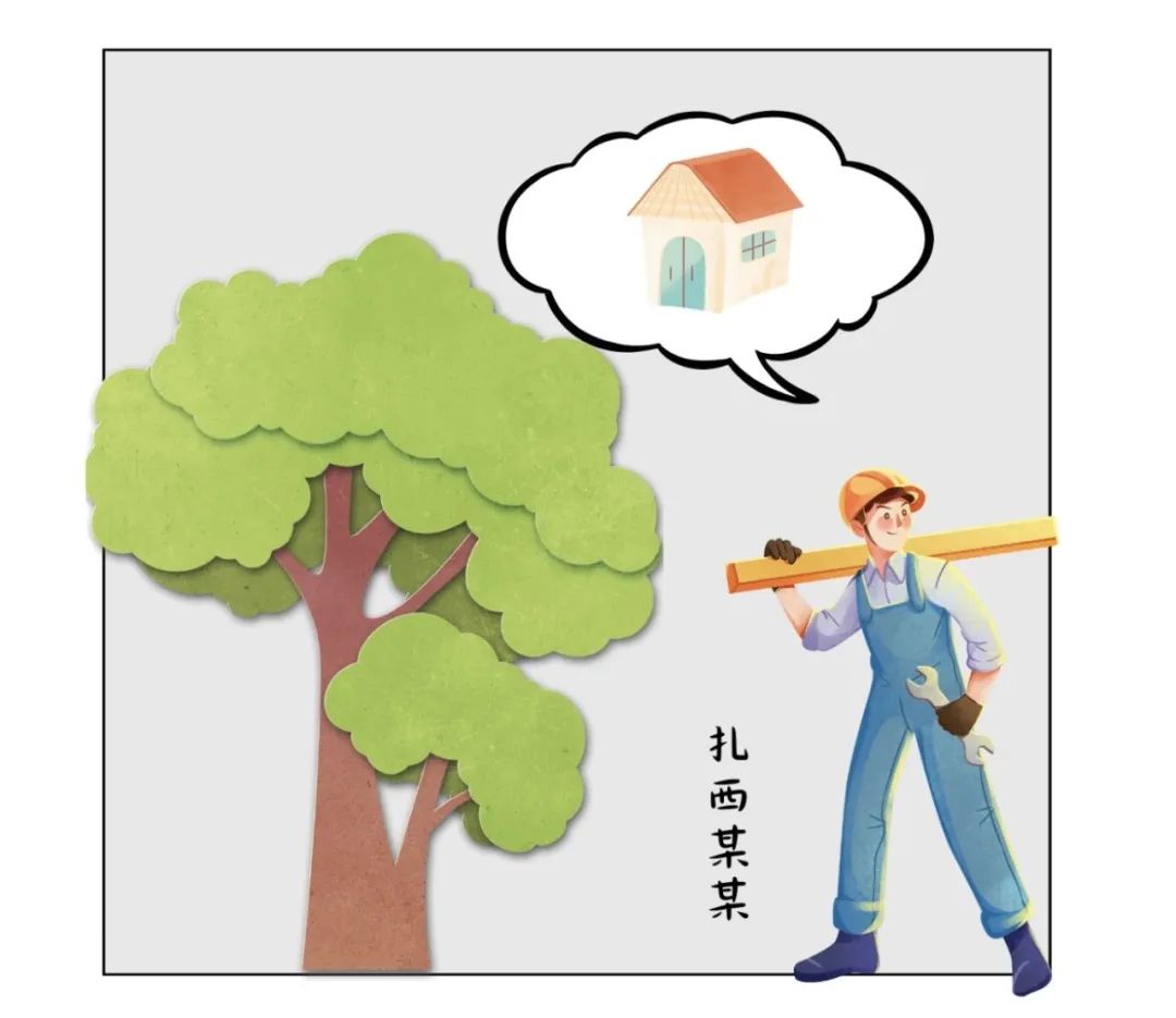 滥伐,盗伐林木不仅会造成水土流失,还会降低森林的生态调节功能