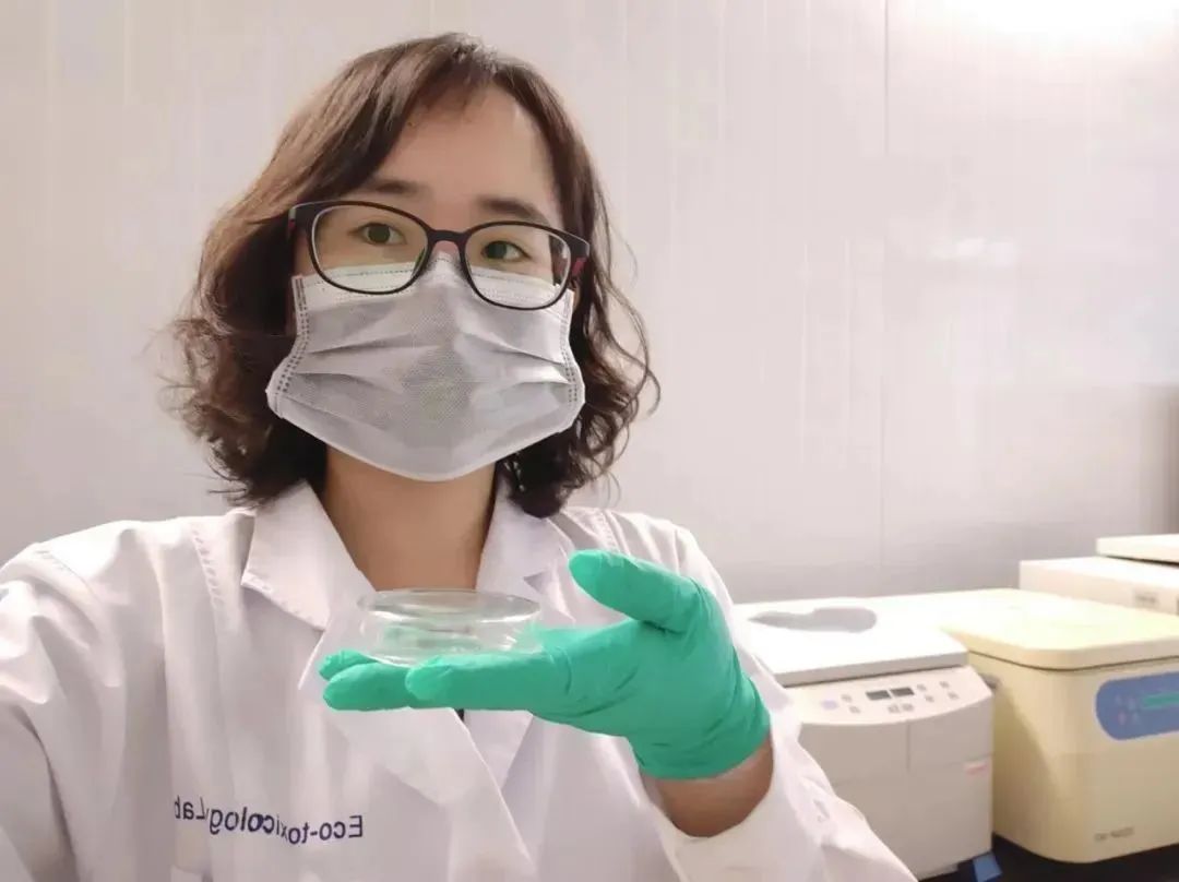 王晓晴,梦想是"成为科学家"!_澎湃号·政务_澎湃新闻-the paper