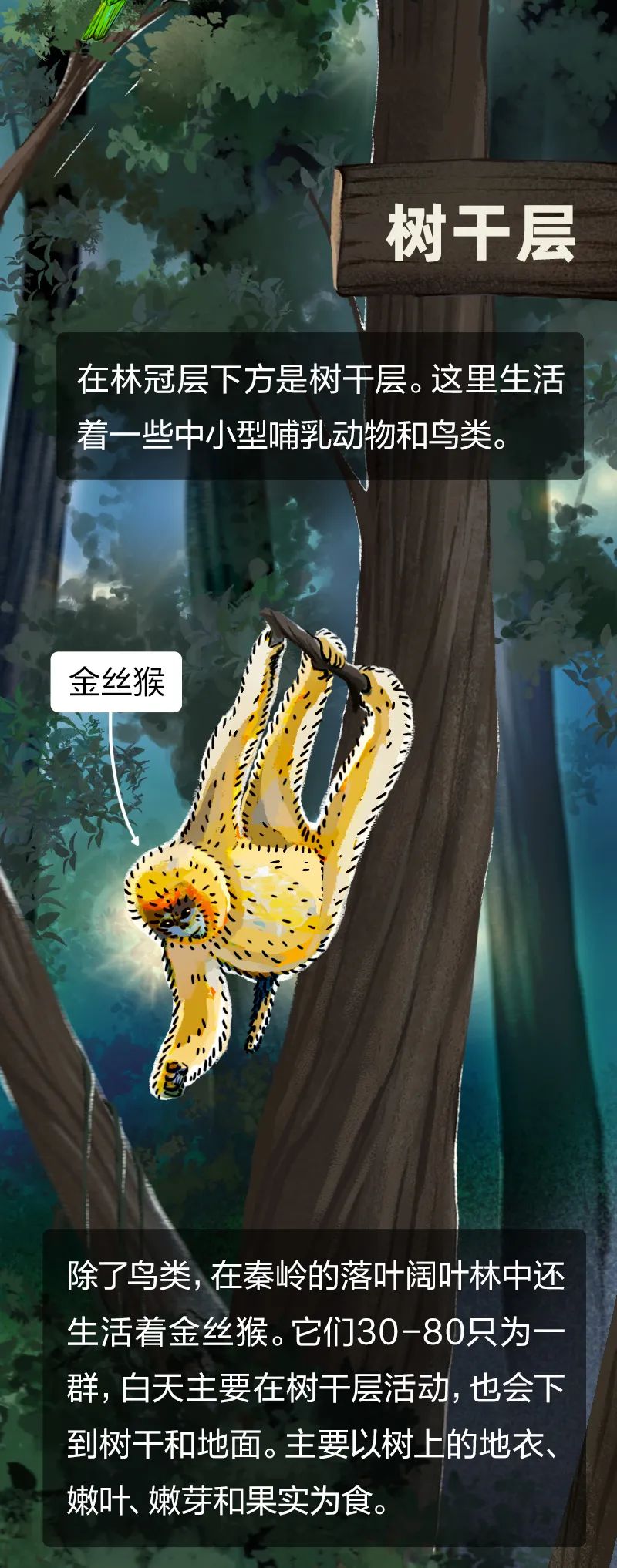 当一棵树被砍掉会发生什么后面的故事让人触目惊心