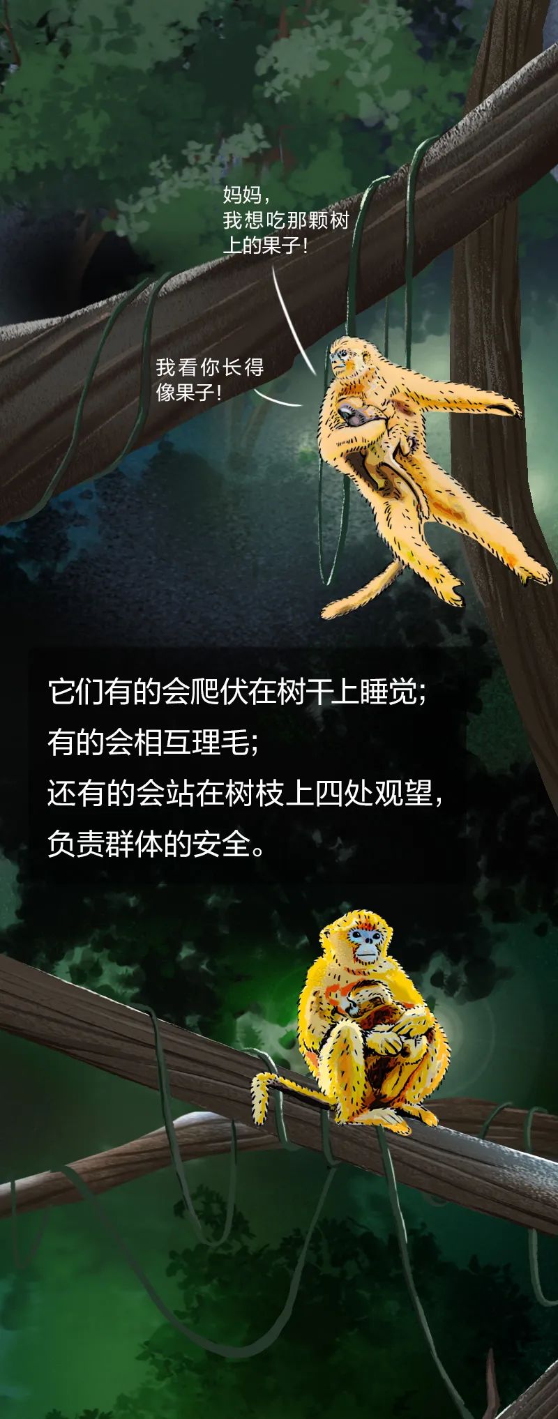 当一棵树被砍掉会发生什么后面的故事让人触目惊心