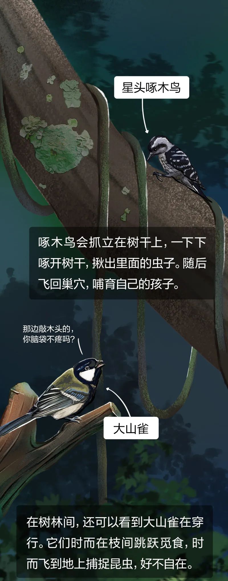 当一棵树被砍掉会发生什么后面的故事让人触目惊心