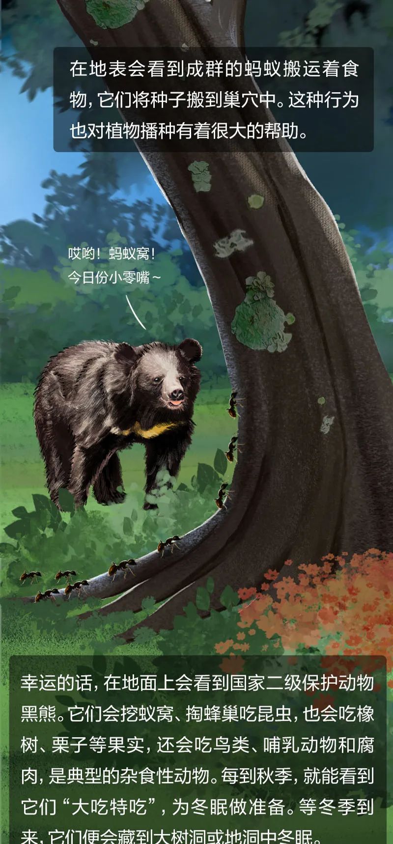 当一棵树被砍掉会发生什么后面的故事让人触目惊心
