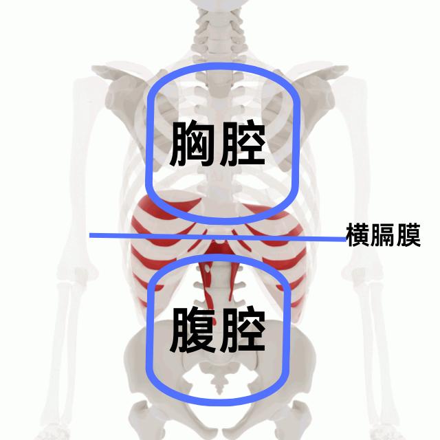 不会呼吸的人