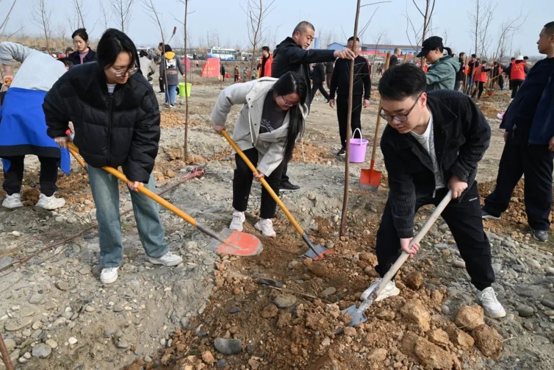 春风十里,共植新绿 ——谷城法院开展植树节义务植树活动