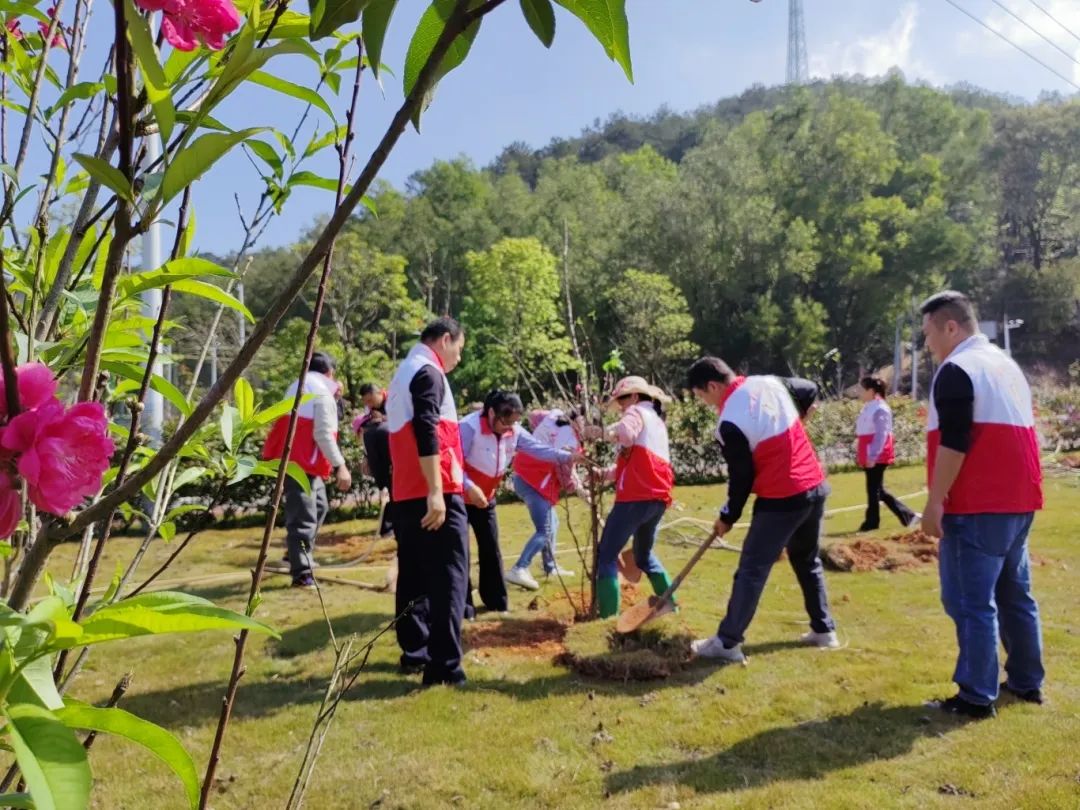 江门监狱组织民警职工开展徒步护树活动,沿着辖区主干道和附近山林