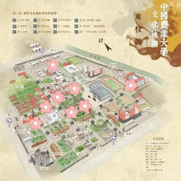 姜山中学学生坠楼图片