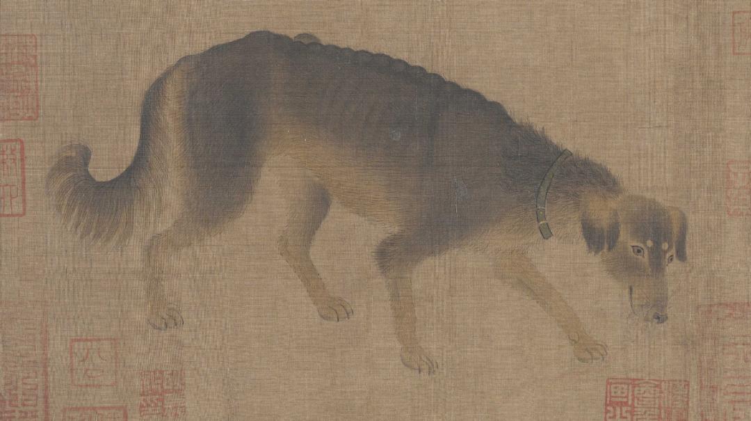 澎湃号·湃客_澎湃新闻-the paper