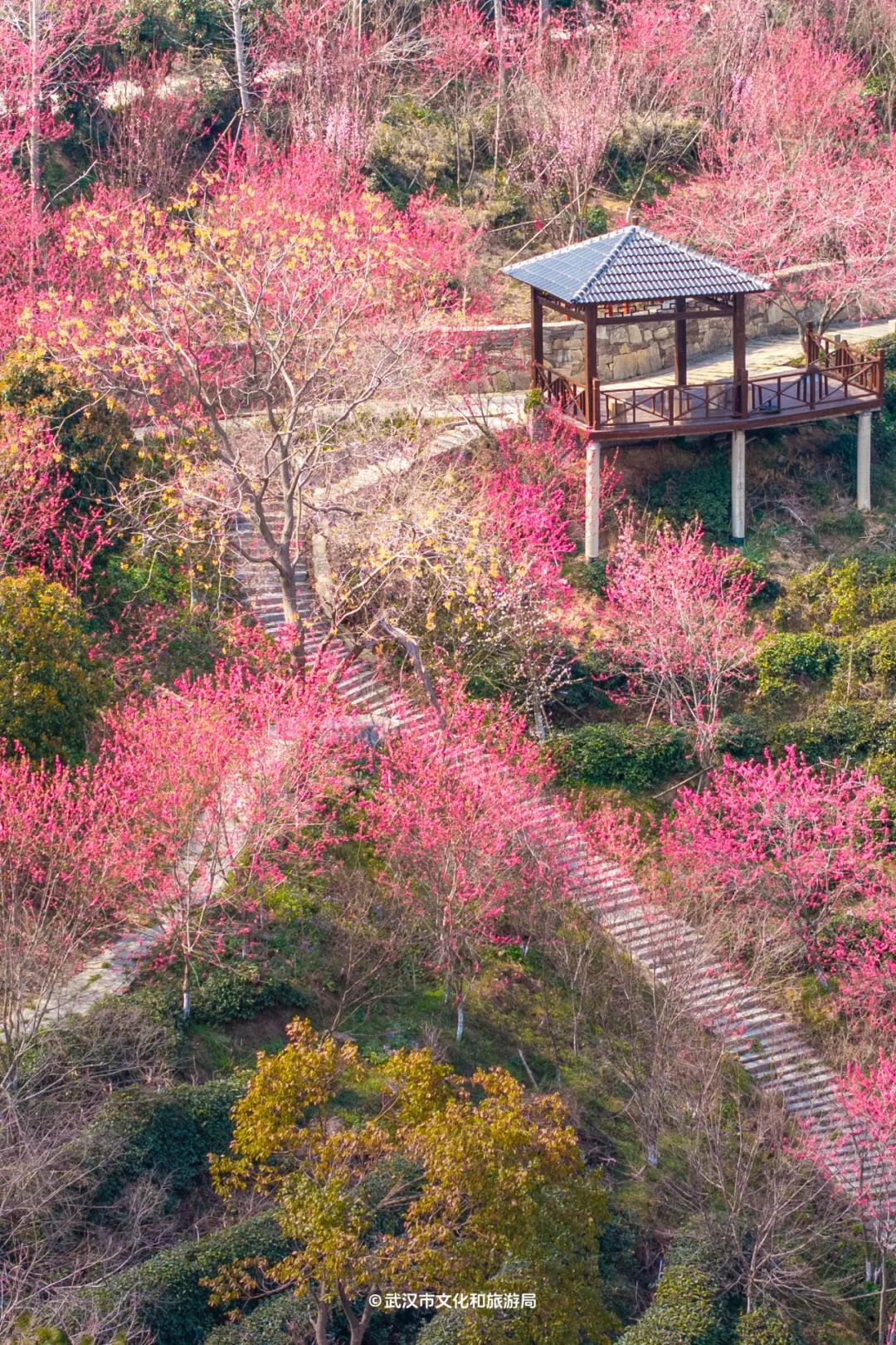 永芳桃花谷图片