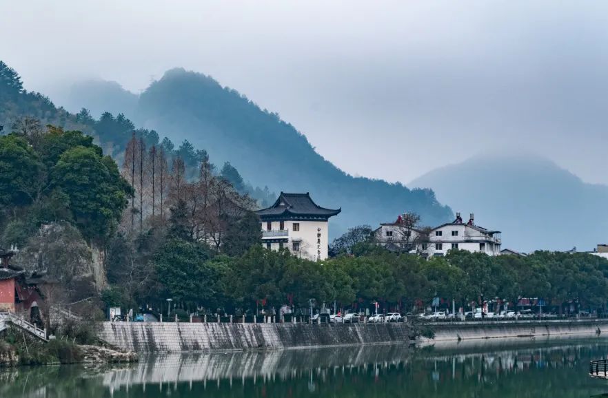 春游丽水：春雨中的江南，庆元在等你!_澎湃号·政务_澎湃新闻-The Paper