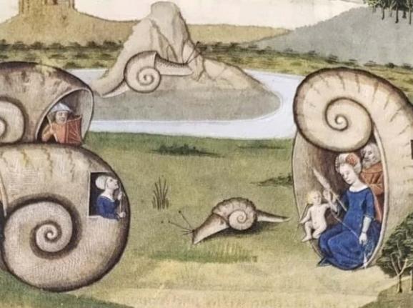 《利未记》的第十一章用类似现代"决策树"的方式,规定了人类只可吃"分