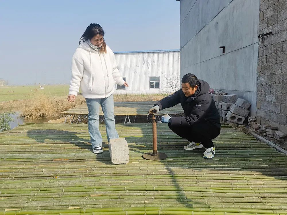 新型"大蒜晾晒架"的推广和使用,不仅给群众带来方便,也为村庄环境和