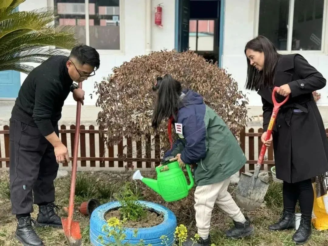 上外秀洲外国语学校(中学部)上外秀洲外国语学校(中学部)组织七,八