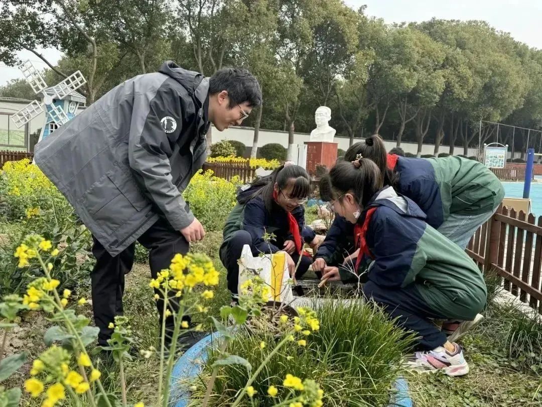 上外秀洲外国语学校(中学部)上外秀洲外国语学校(中学部)组织七,八
