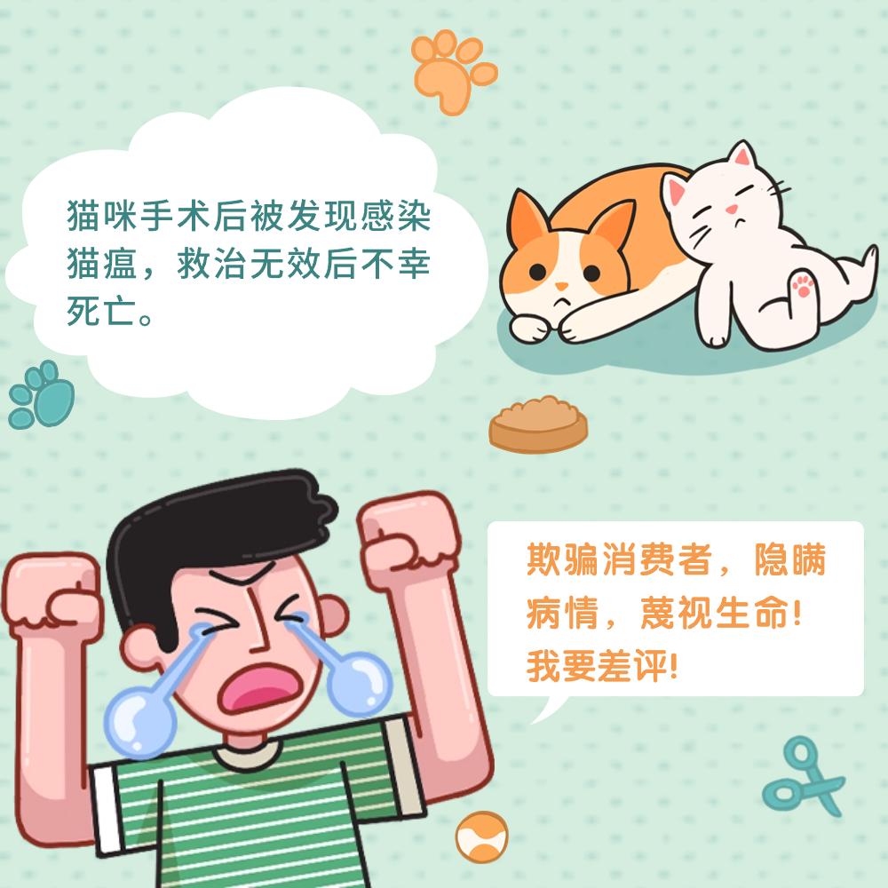 澎湃号·政务_澎湃新闻-the paper