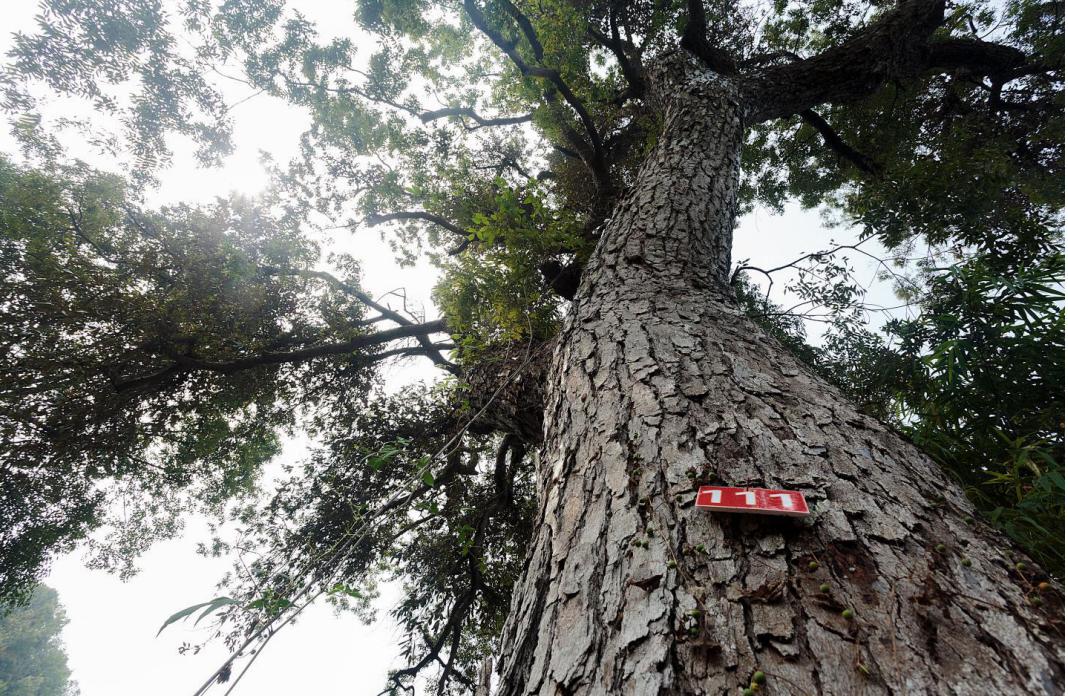 澎湃号·政务_澎湃新闻-the paper