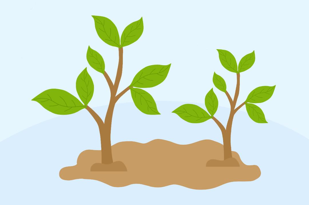 植树节种下希望 收获美好arbor day春来万物生植树正笔痹谡飧龃号