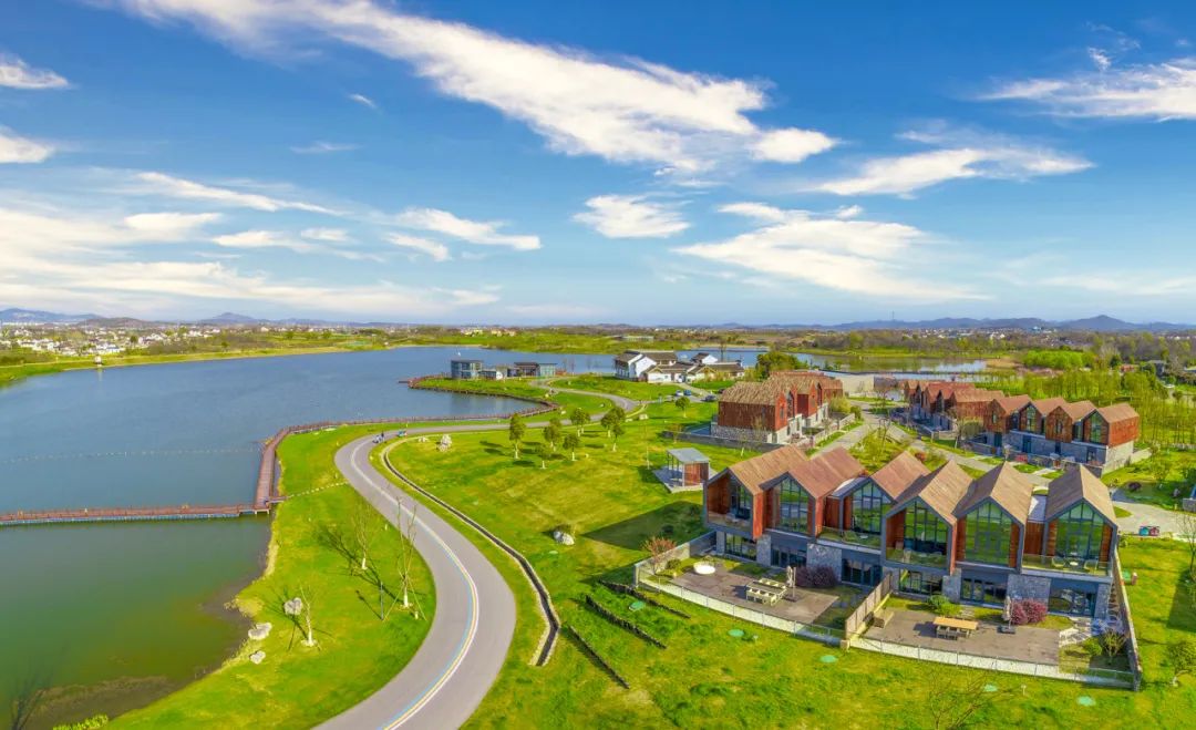 这个春天,总要来住一次_澎湃号·政务_澎湃新闻-the paper