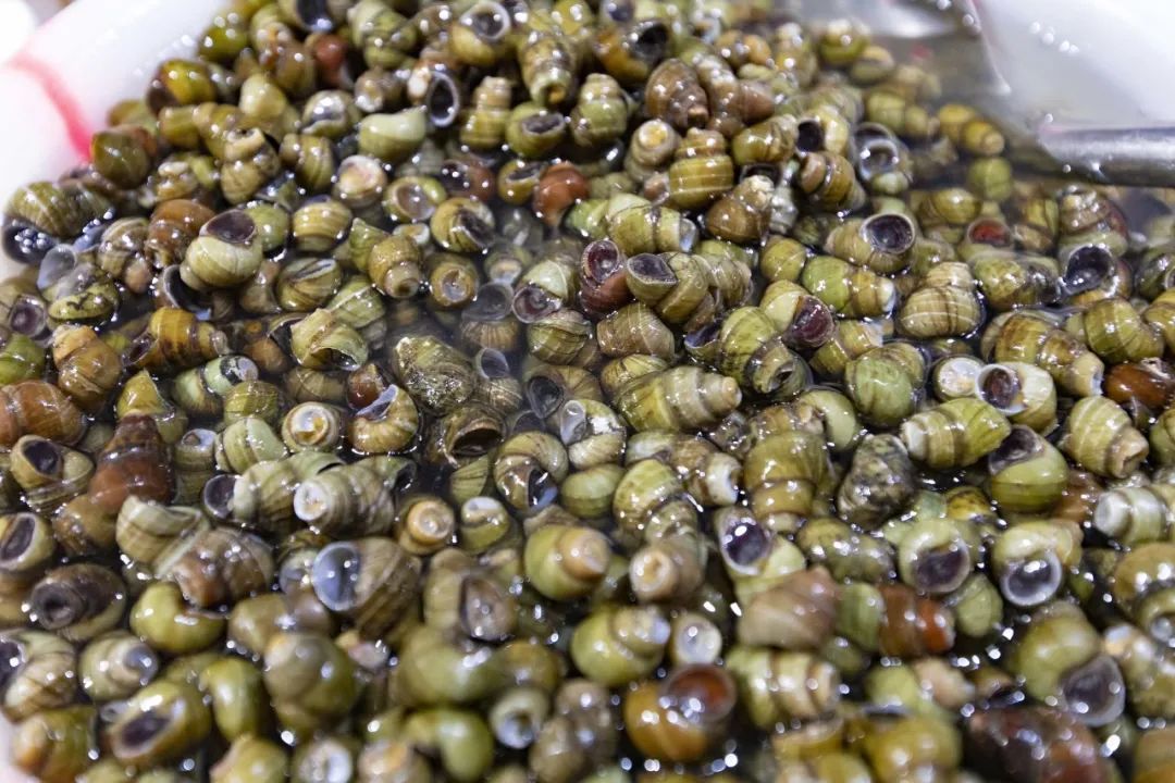 菜花螺蛳抢"鲜"上市,快来嗦上这口"春日限定"的肥美味道!