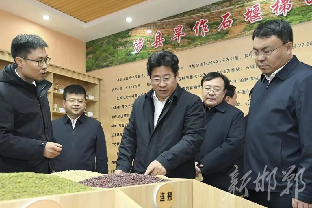李晋宇到涉县调研_澎湃号·政务_澎湃新闻-the paper