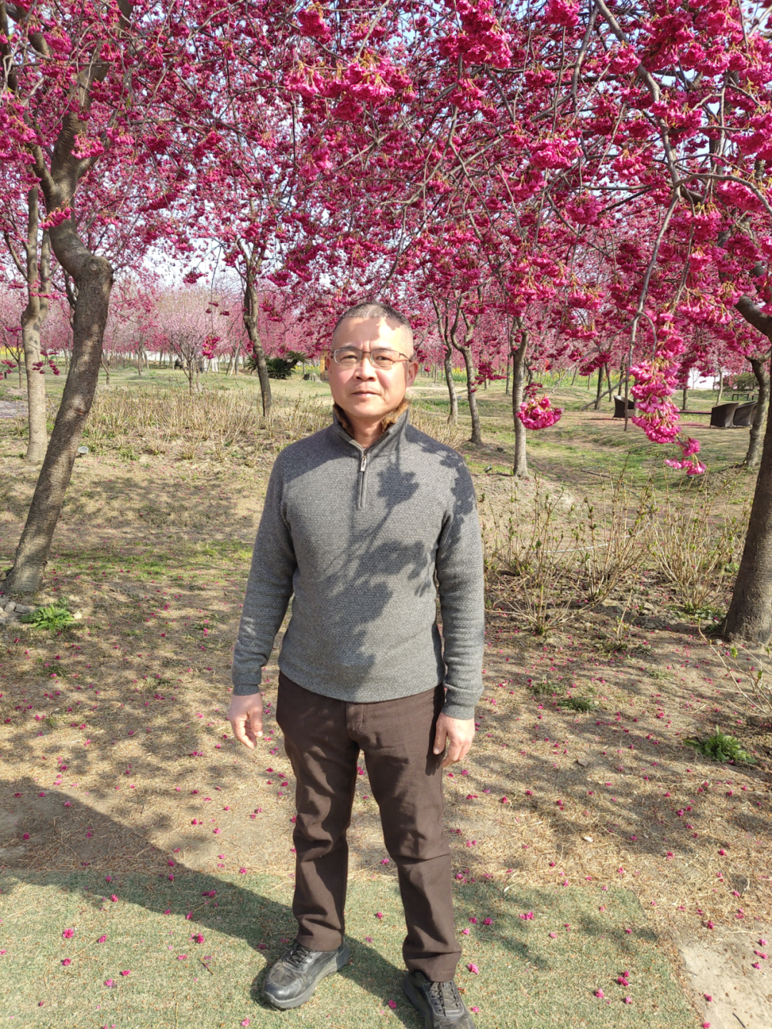 【蓉台交流】台商刘钰隆:"我在成都种樱花"_澎湃号·政务_澎湃新闻