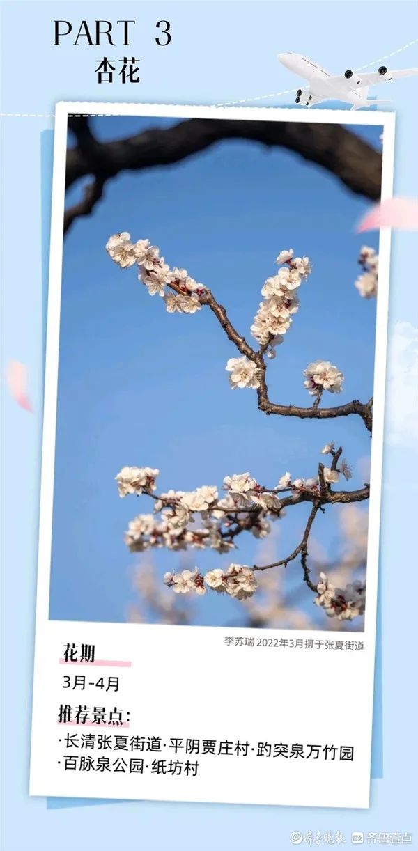 接下来的一个月,济南是这样的……_澎湃号·政务_澎湃新闻-the paper