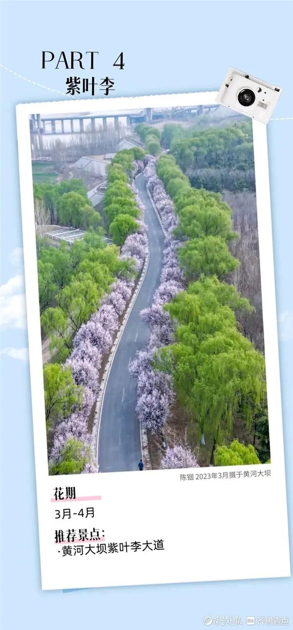 接下来的一个月,济南是这样的……_澎湃号·政务_澎湃新闻-the paper