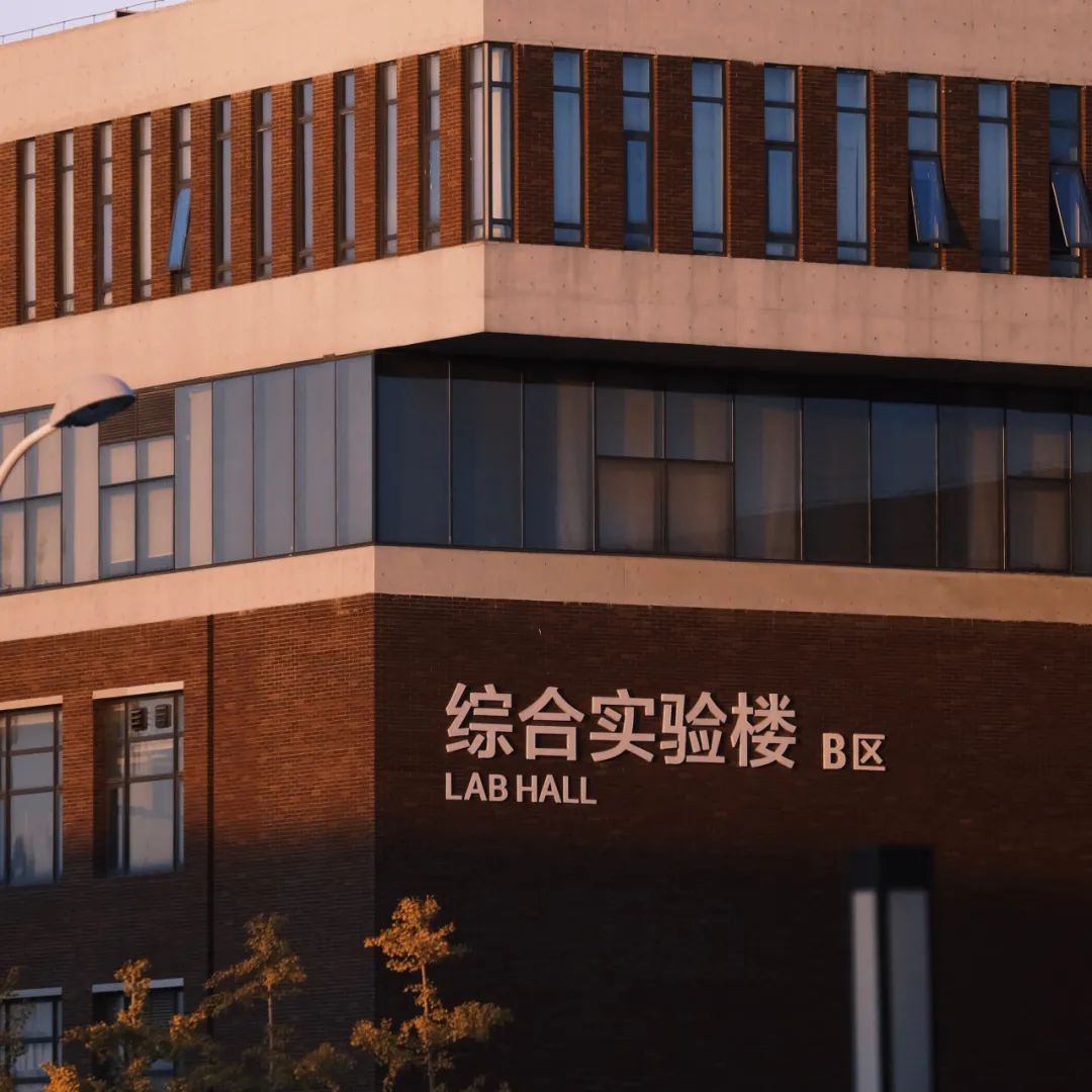 南开大学北洋园校区图片