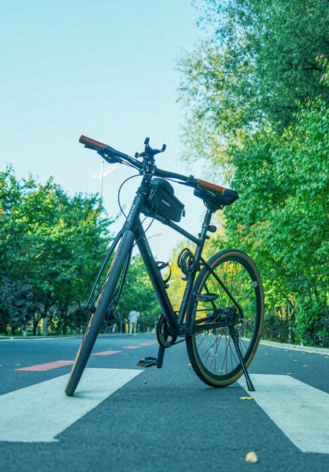 澎湃号·政务_澎湃新闻-the paper