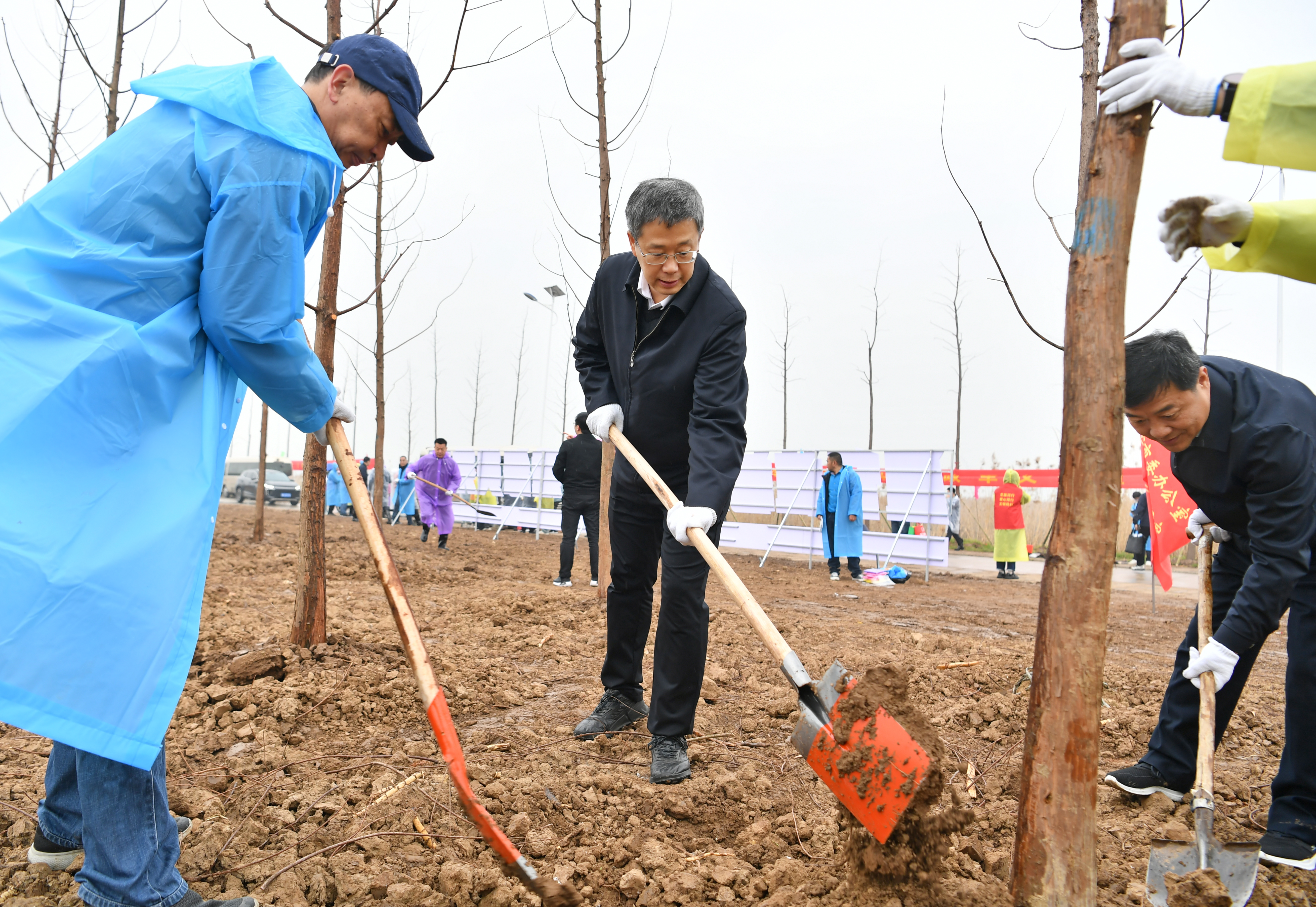 澎湃号·媒体_澎湃新闻-the paper