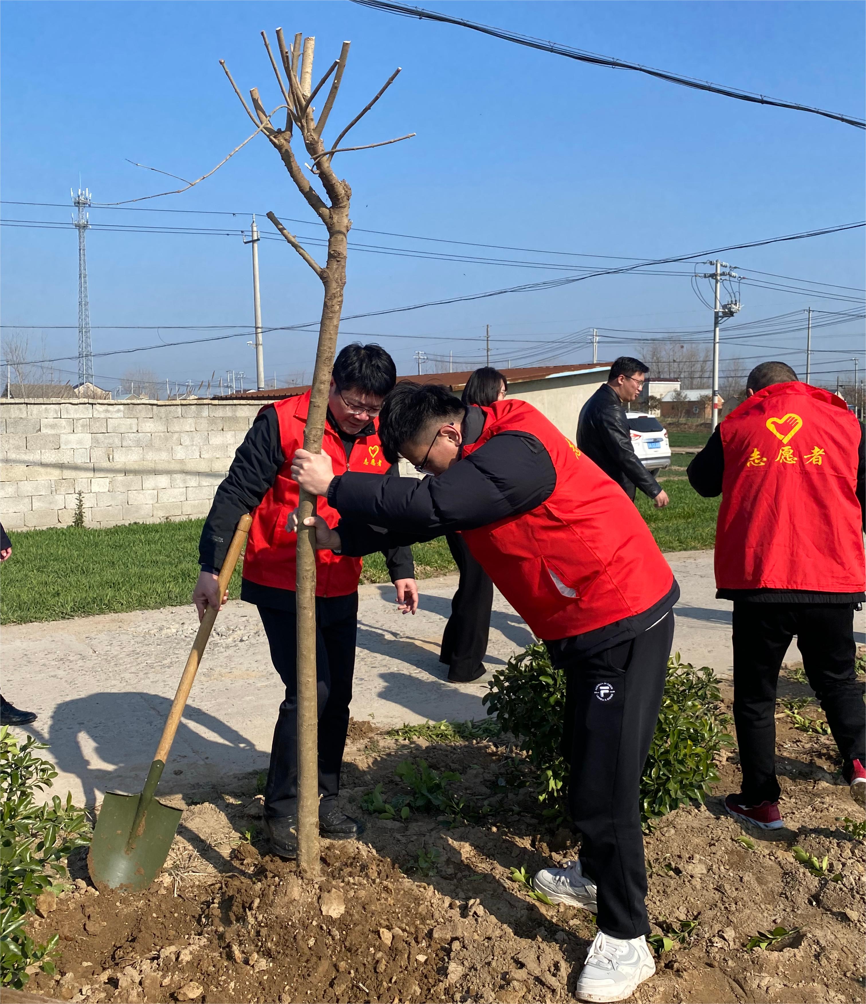 陈涛镇开展"拥抱春天 播种绿色"植树节主题活动_澎湃号·政务_澎湃