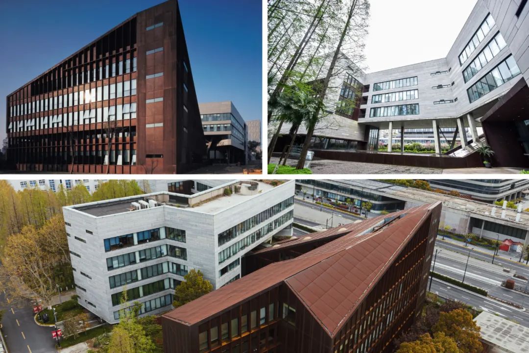 bonjour,同济!_澎湃号·政务_澎湃新闻-the paper