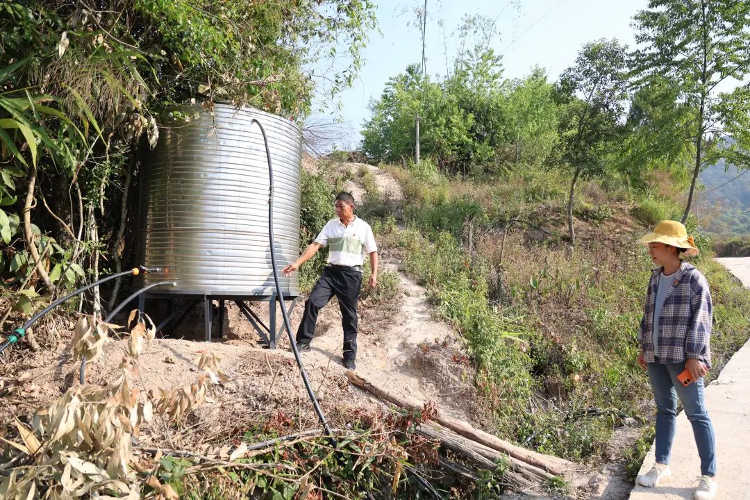 典型引路丨思茅区田房村民小组不等不靠,群策群力