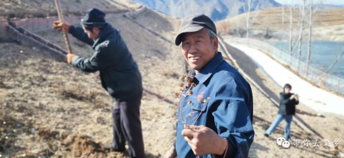 "雨花谷园区生产负责人胡大鹏边介绍边指导工人小心的揭开冬天保暖用
