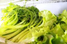 附赠24小时美食攻略_澎湃号·政务_澎湃新闻-the paper