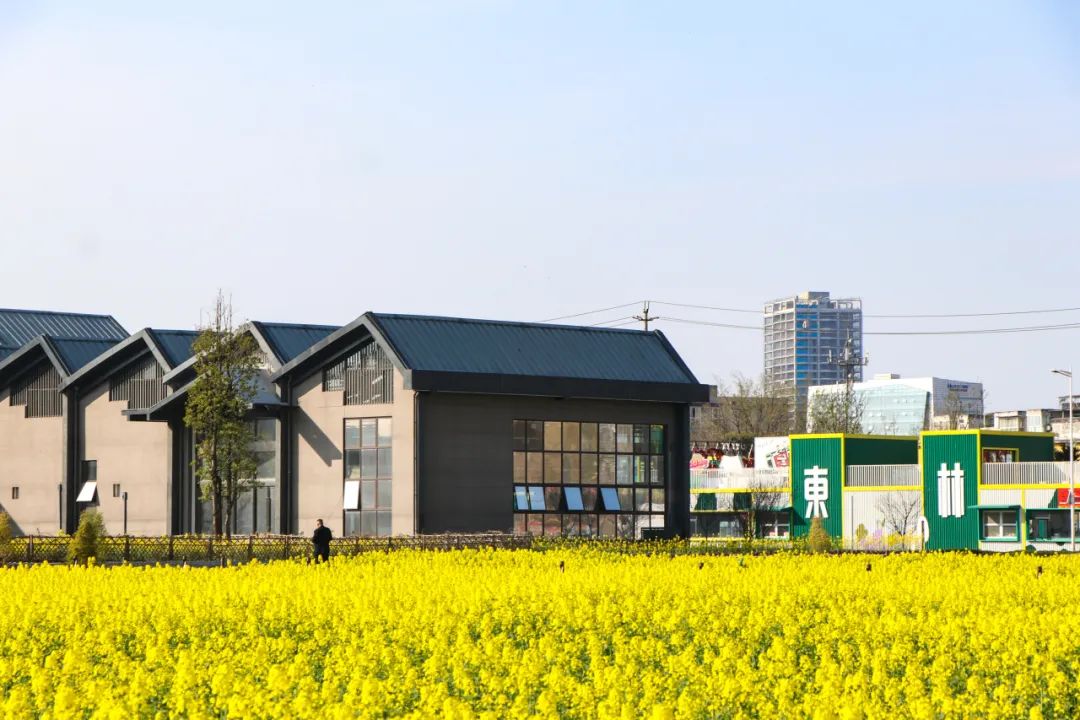 听音乐赏花海品美食在东林艺术村找到向往的生活