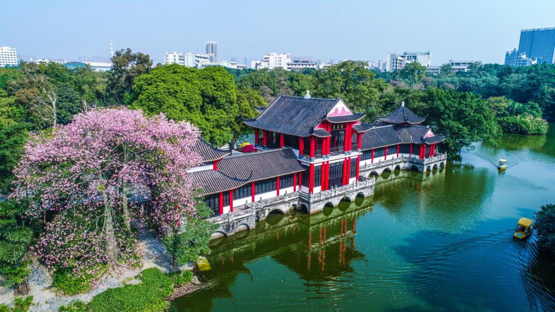 历史文化景点新晋网红点佛山50公里徒步禅城线这样走