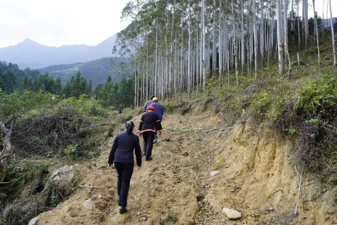 在他的带领下,连南瑶族自治县人民法院寨岗人民法庭法官房梅君,爬上了