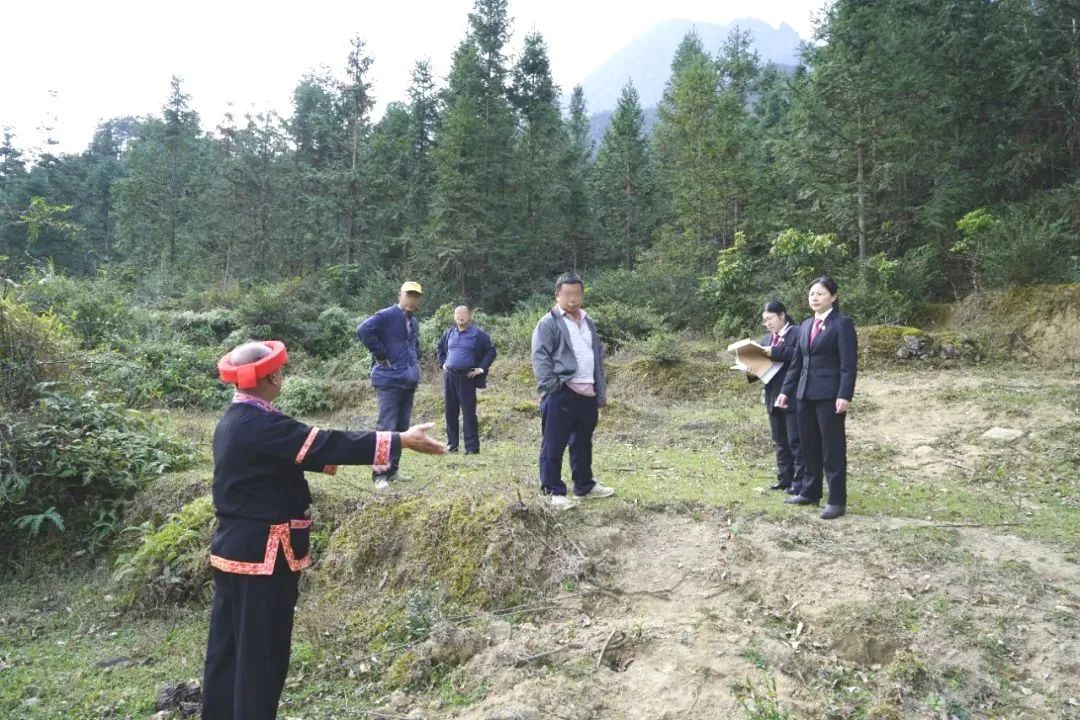 莫误春耕好时节_澎湃号·政务_澎湃新闻-the paper