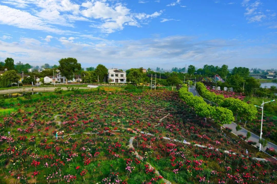 枝江这个基地正式投入运营!_澎湃号·政务_澎湃新闻-the paper