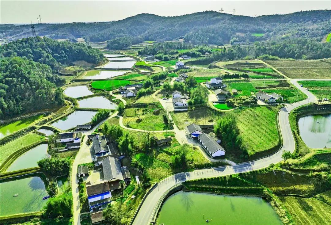 湖北日报头版头条点赞当阳流域综合治理工作