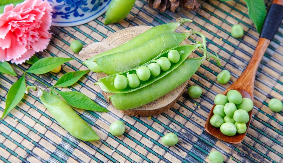 澎湃号·政务_澎湃新闻-the paper