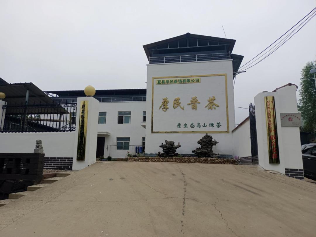 致敬河东最美的她 || 全国巾帼现代农业科技示范基地——夏县厚民茶场