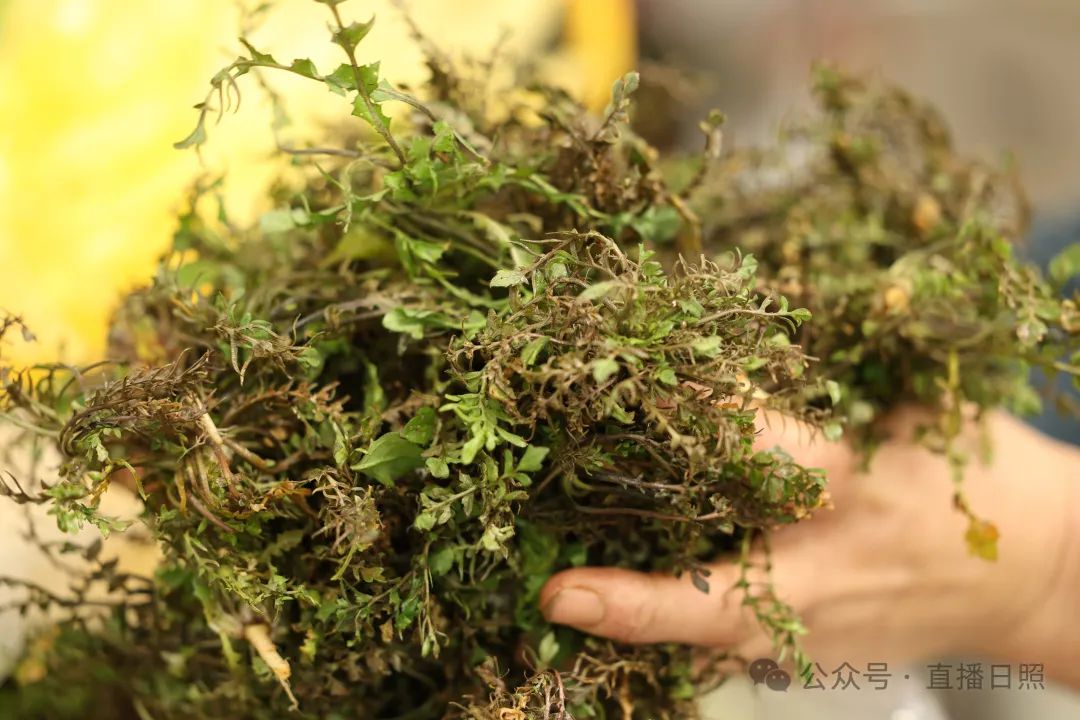 "近日,记者走访多家农贸市场和超市发现,不少摊位都摆放了绿茵茵的