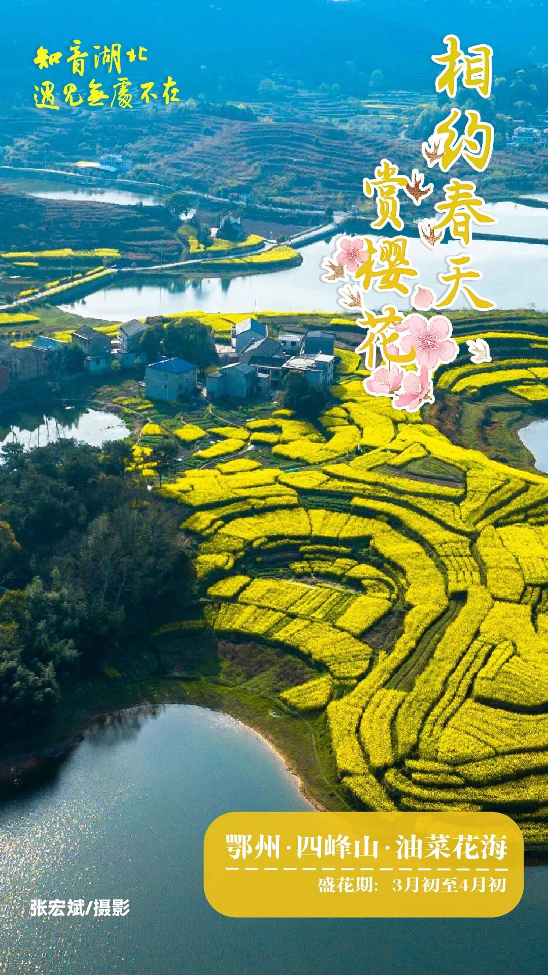 遇见花开,18张屏保预览湖北春色!