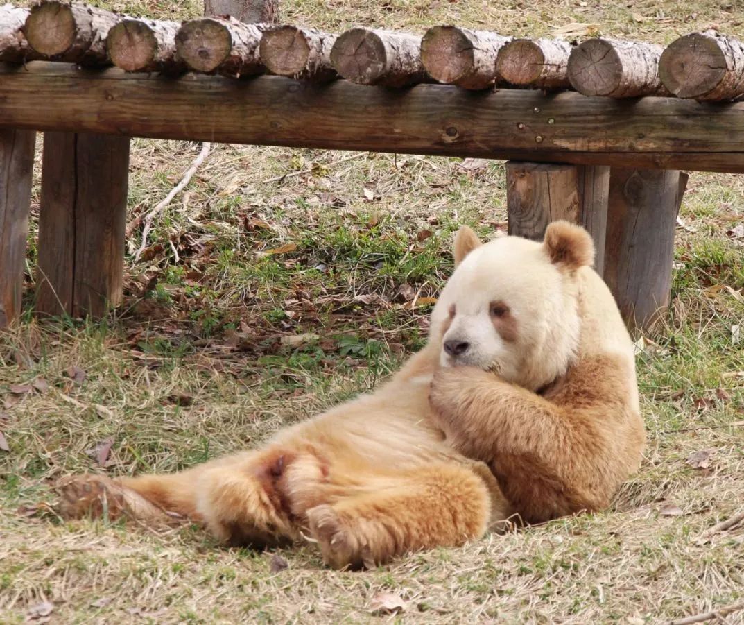 省高院直属机关党委组织青年干警参观调研西铁法院司法保护基地和巡回