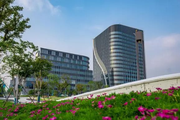 创新max新华日报聚焦高新盐南